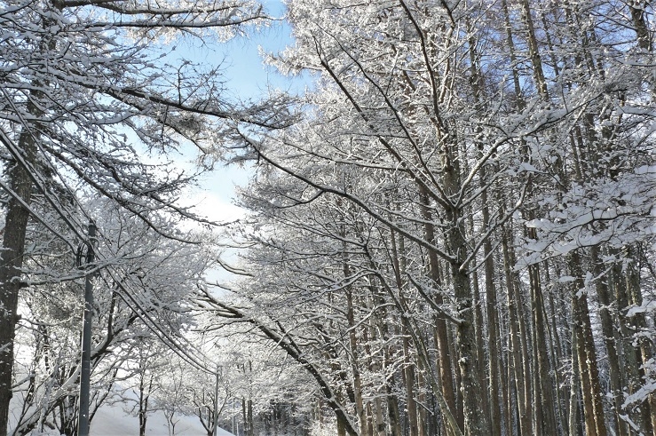 http://www.alpico.co.jp/shikinomori/news/images/P1280372.JPG