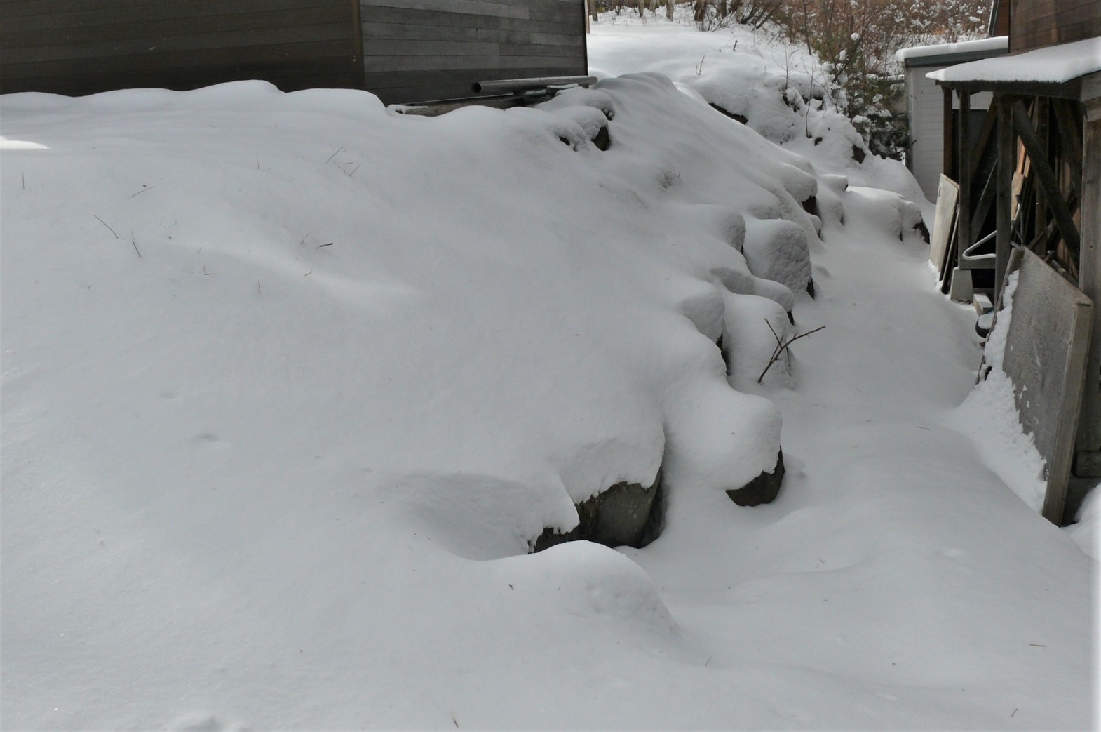 http://www.alpico.co.jp/shikinomori/news/images/P1280383.JPG