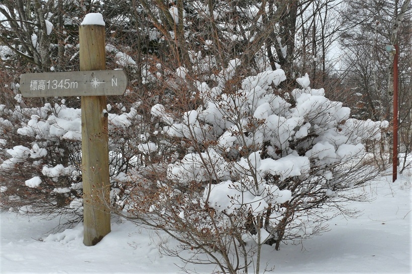 http://www.alpico.co.jp/shikinomori/news/images/P1280392.JPG