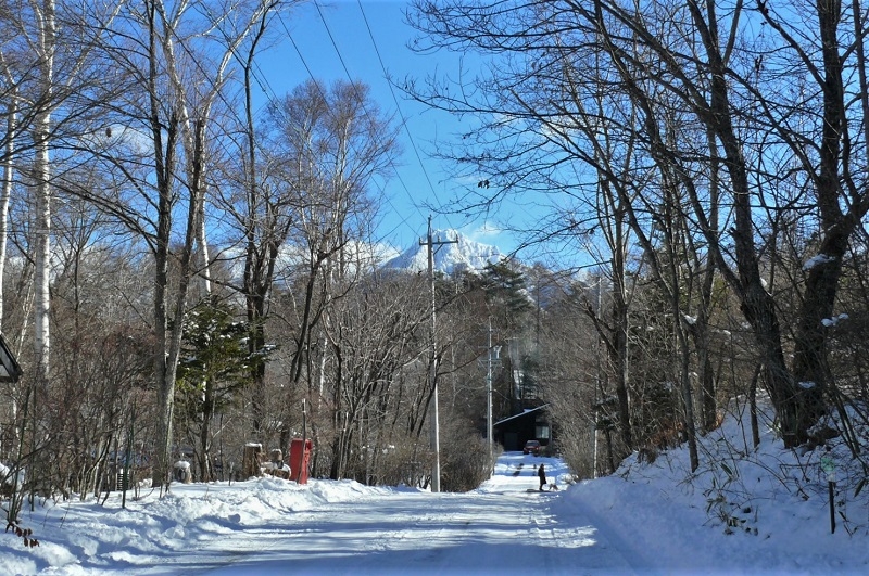 http://www.alpico.co.jp/shikinomori/news/images/P1280425.JPG