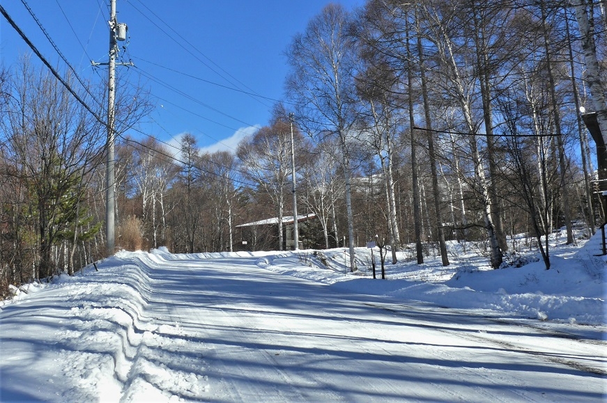 http://www.alpico.co.jp/shikinomori/news/images/P1280437.JPG