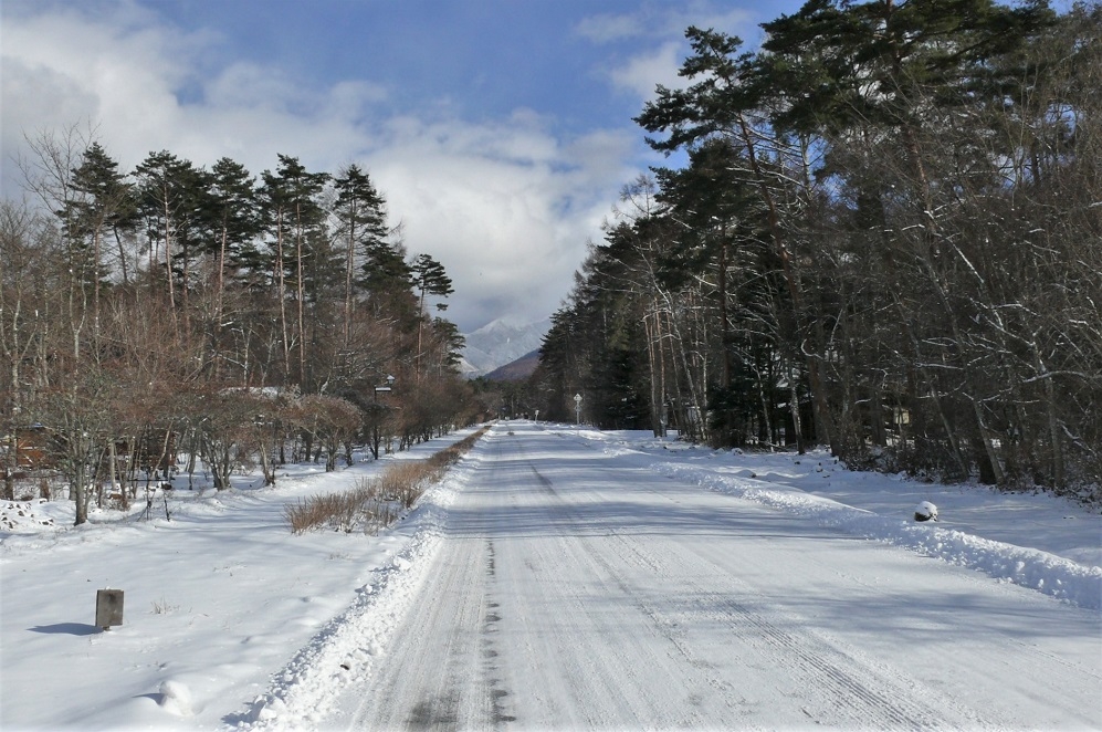 http://www.alpico.co.jp/shikinomori/news/images/P1280504.JPG