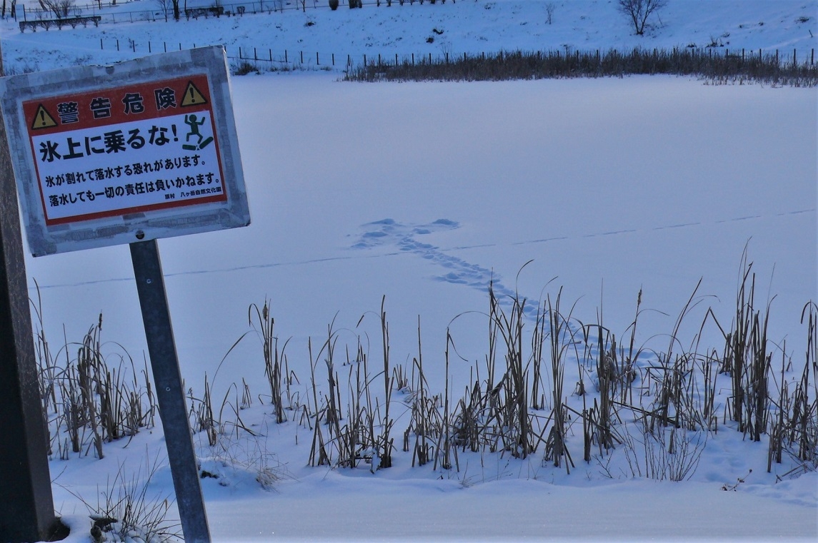 http://www.alpico.co.jp/shikinomori/news/images/P1280555.JPG