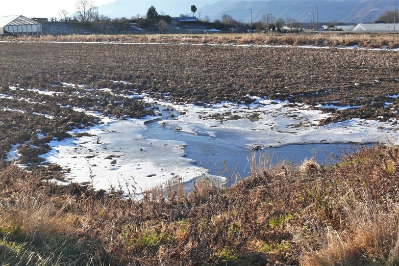 http://www.alpico.co.jp/shikinomori/news/images/P1280653.JPG