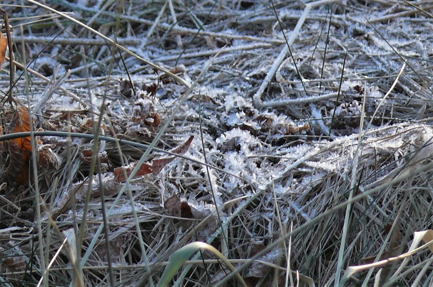 http://www.alpico.co.jp/shikinomori/news/images/P1280766.JPG
