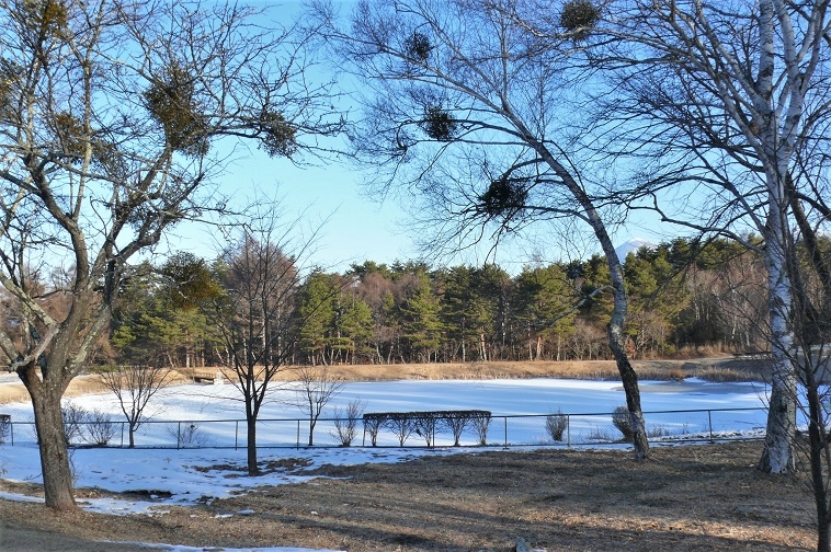 http://www.alpico.co.jp/shikinomori/news/images/P1280853.JPG