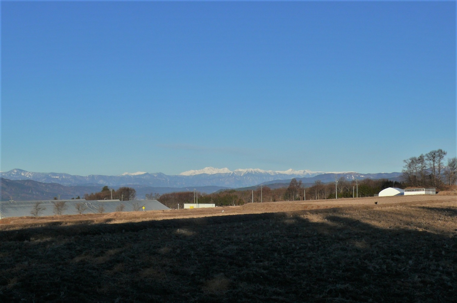 http://www.alpico.co.jp/shikinomori/news/images/P1280878.JPG
