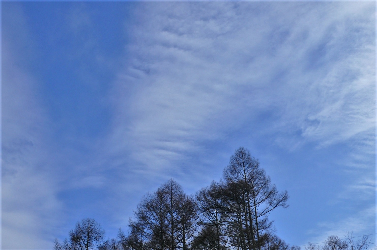 http://www.alpico.co.jp/shikinomori/news/images/P1280959.JPG
