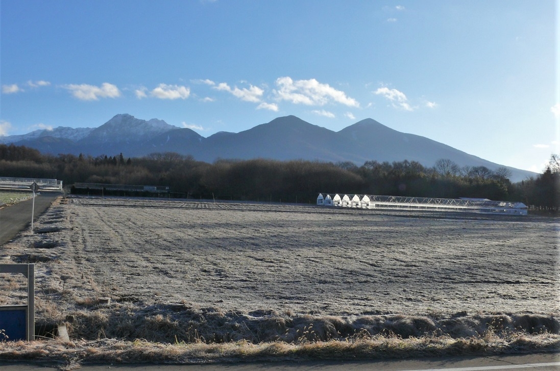 http://www.alpico.co.jp/shikinomori/news/images/P1290045.JPG