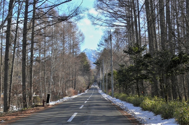 http://www.alpico.co.jp/shikinomori/news/images/P1290095.JPG