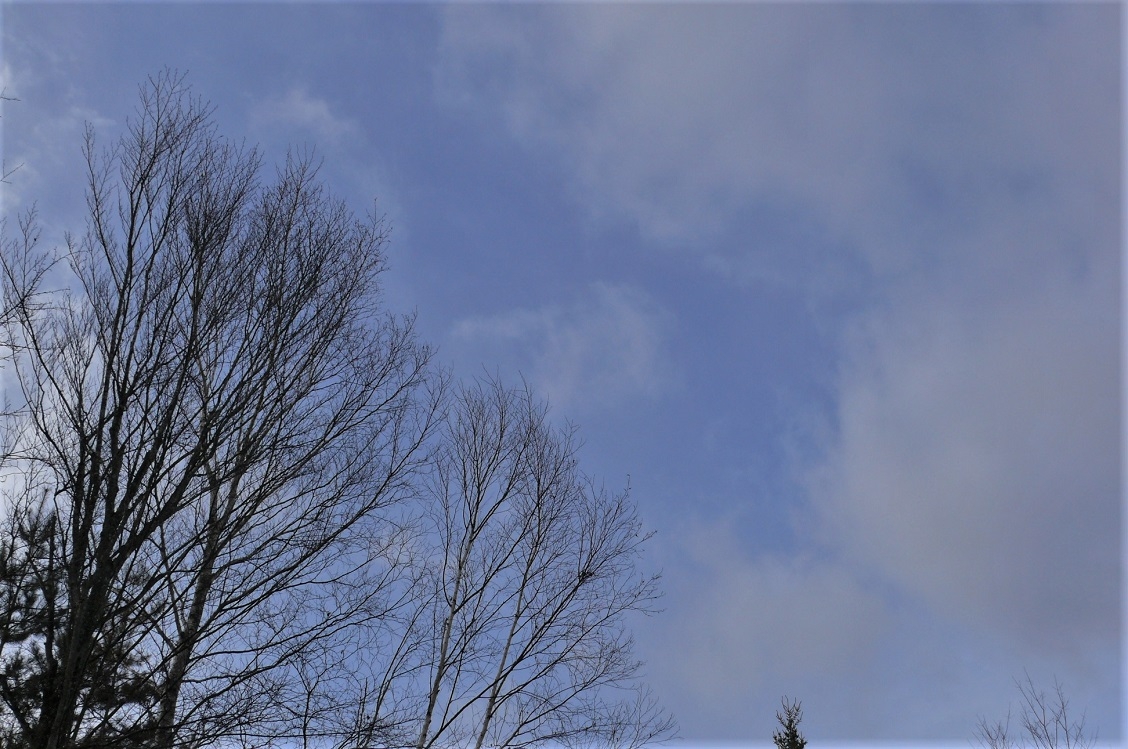 http://www.alpico.co.jp/shikinomori/news/images/P1290186.JPG