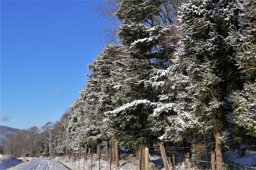 http://www.alpico.co.jp/shikinomori/news/images/P1290227.JPG