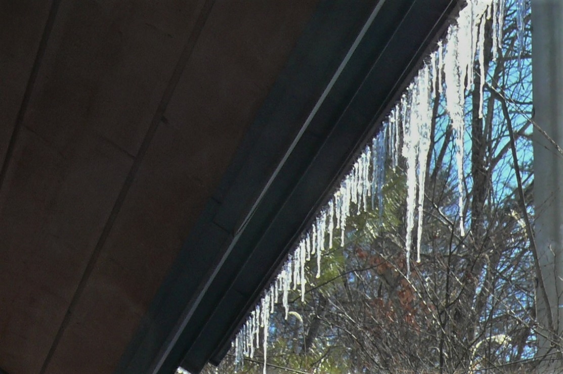 http://www.alpico.co.jp/shikinomori/news/images/P1290290.JPG
