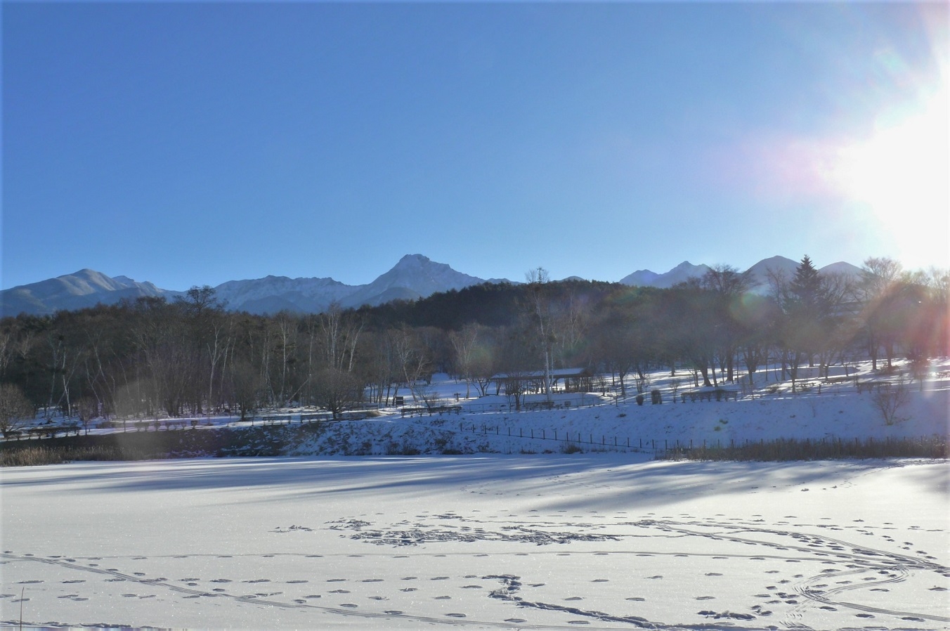 http://www.alpico.co.jp/shikinomori/news/images/P1290295.JPG