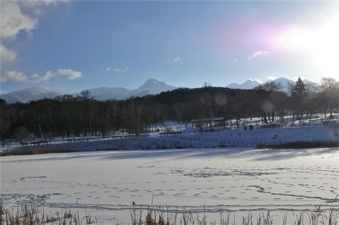 http://www.alpico.co.jp/shikinomori/news/images/P1290332.JPG
