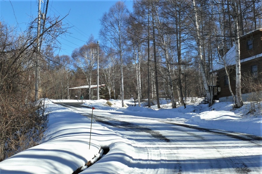 http://www.alpico.co.jp/shikinomori/news/images/P1290448.JPG