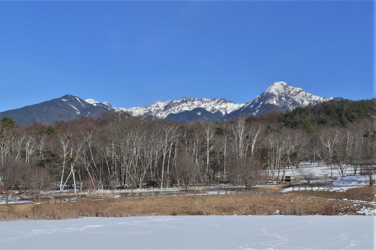 http://www.alpico.co.jp/shikinomori/news/images/P1290495.JPG
