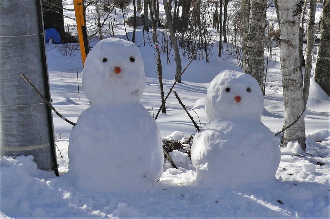 http://www.alpico.co.jp/shikinomori/news/images/P1290584.JPG