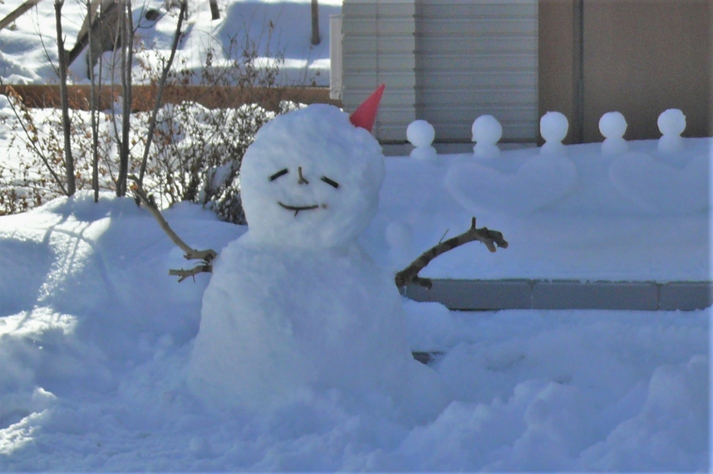 http://www.alpico.co.jp/shikinomori/news/images/P1290588.JPG