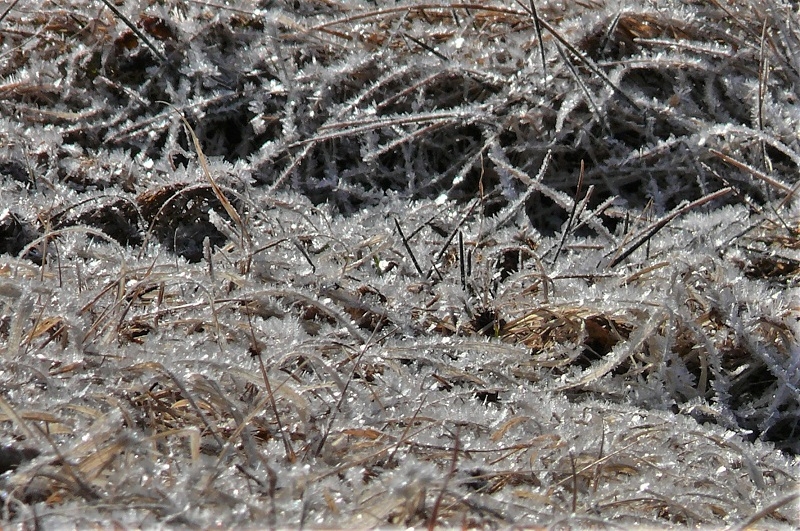 http://www.alpico.co.jp/shikinomori/news/images/P1290811.JPG