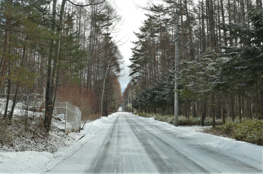 http://www.alpico.co.jp/shikinomori/news/images/P1290907.JPG