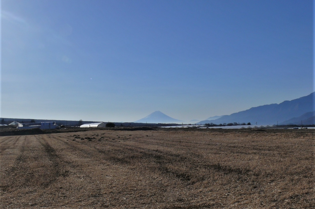 http://www.alpico.co.jp/shikinomori/news/images/P1290947.JPG