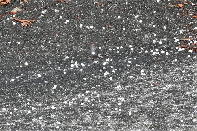 http://www.alpico.co.jp/shikinomori/news/images/P1300019.JPG