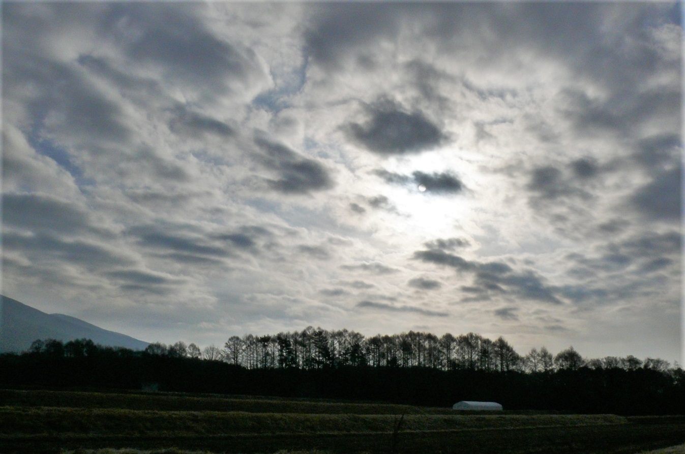 http://www.alpico.co.jp/shikinomori/news/images/P1300054.JPG