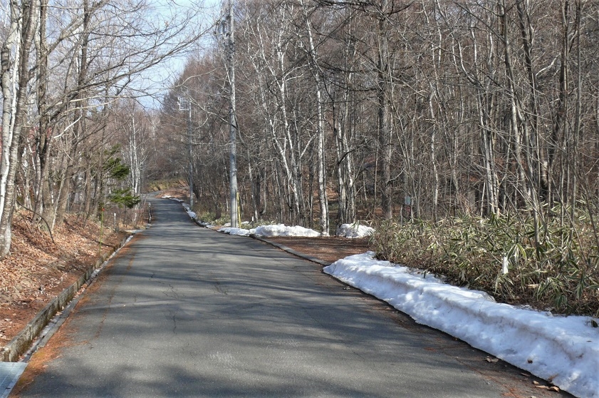 http://www.alpico.co.jp/shikinomori/news/images/P1300106.JPG