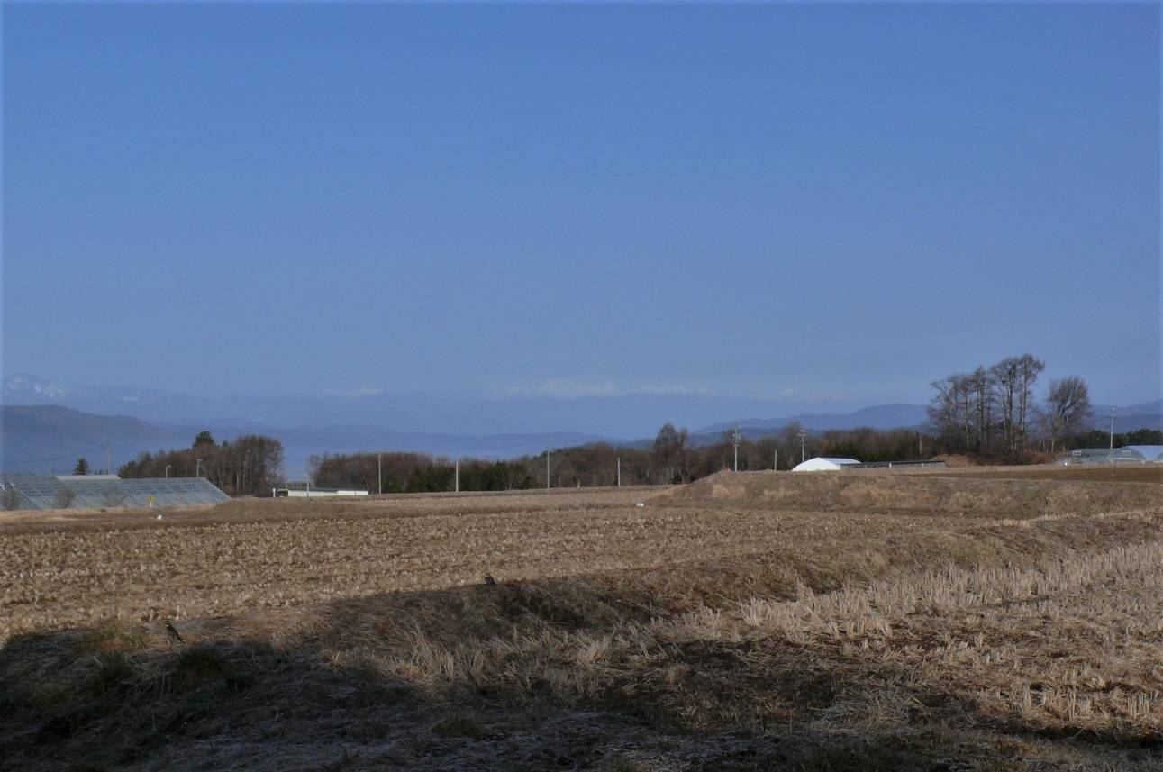 http://www.alpico.co.jp/shikinomori/news/images/P1300175.JPG