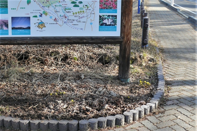 http://www.alpico.co.jp/shikinomori/news/images/P1300190.JPG