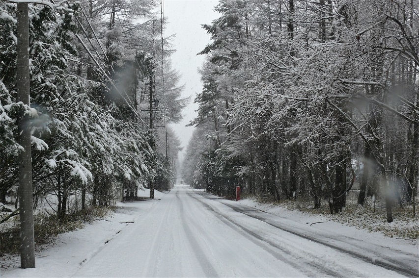 http://www.alpico.co.jp/shikinomori/news/images/P1300391.JPG