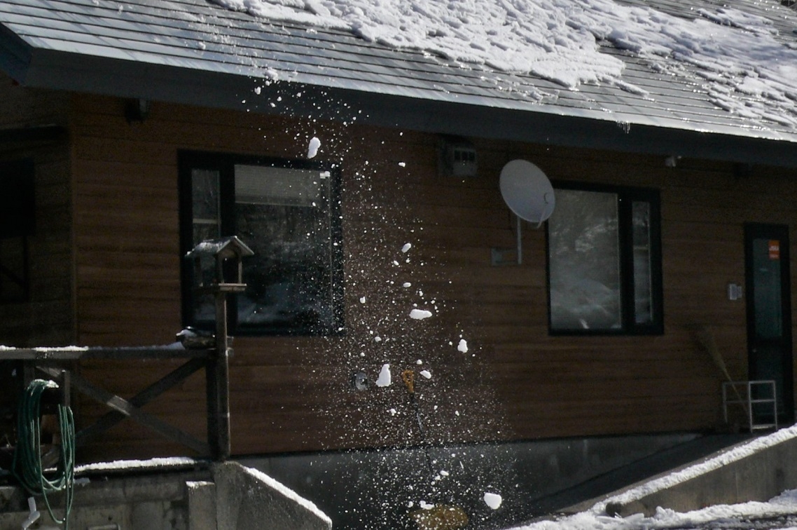 http://www.alpico.co.jp/shikinomori/news/images/P1300457.JPG