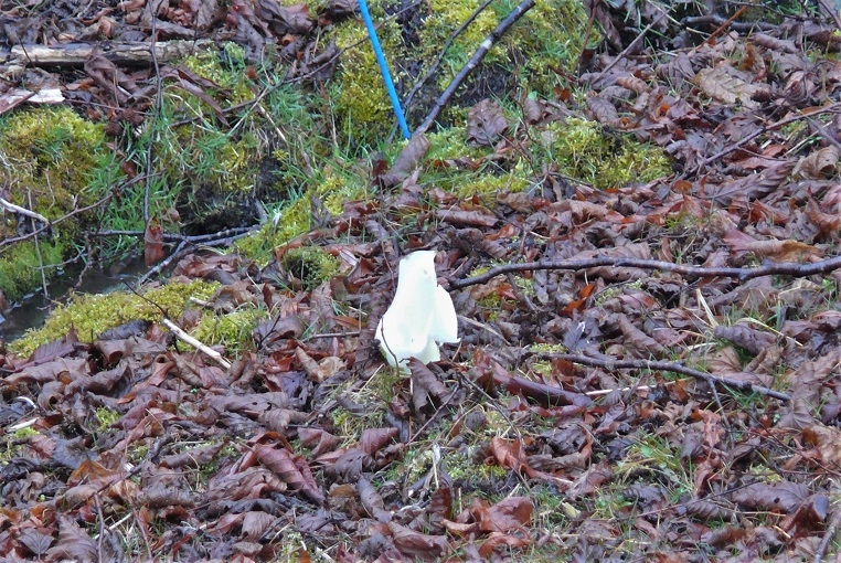 http://www.alpico.co.jp/shikinomori/news/images/P1300614.JPG