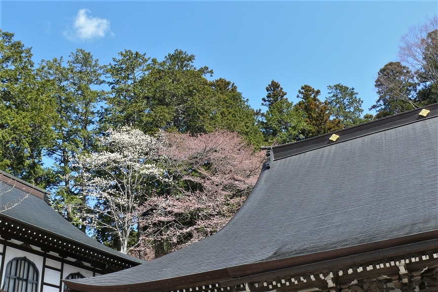http://www.alpico.co.jp/shikinomori/news/images/P1300754.JPG