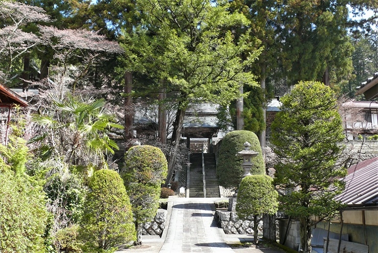 http://www.alpico.co.jp/shikinomori/news/images/P1300769.JPG
