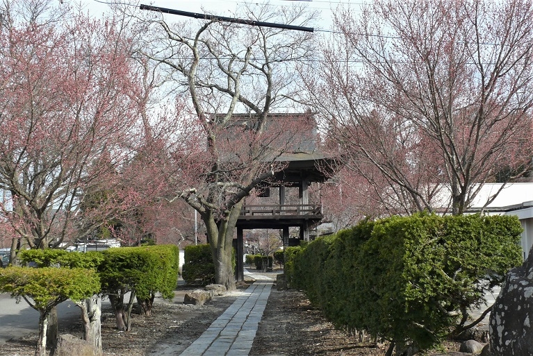 http://www.alpico.co.jp/shikinomori/news/images/P1300780.JPG