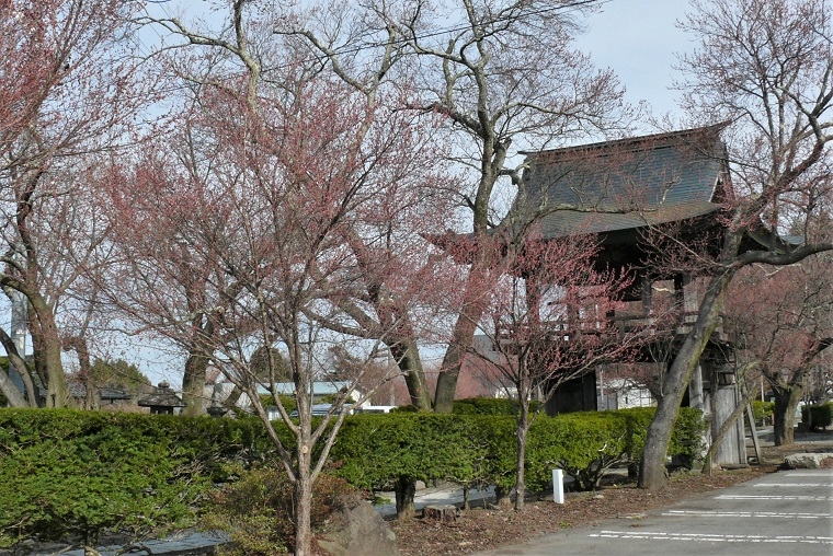 http://www.alpico.co.jp/shikinomori/news/images/P1300782.JPG
