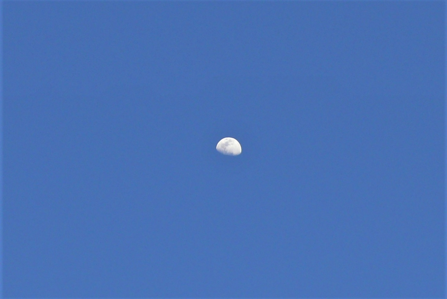 http://www.alpico.co.jp/shikinomori/news/images/P1300793.JPG