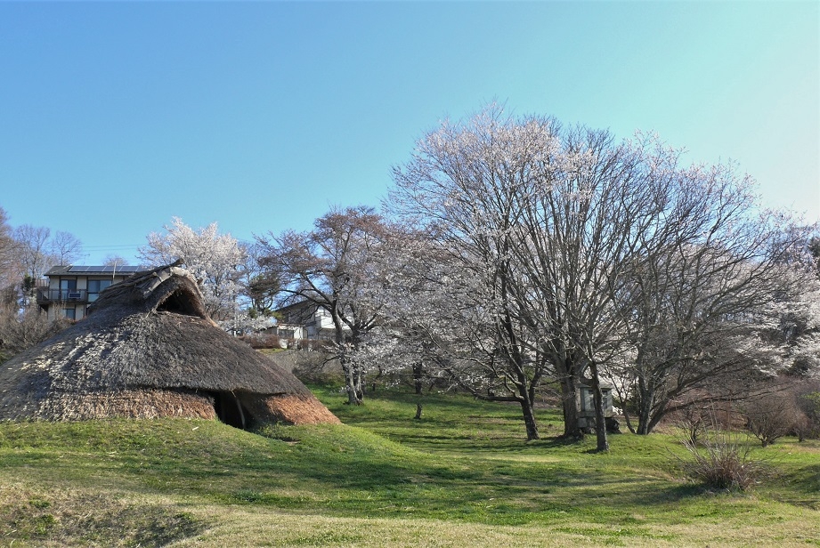 http://www.alpico.co.jp/shikinomori/news/images/P1300802.JPG