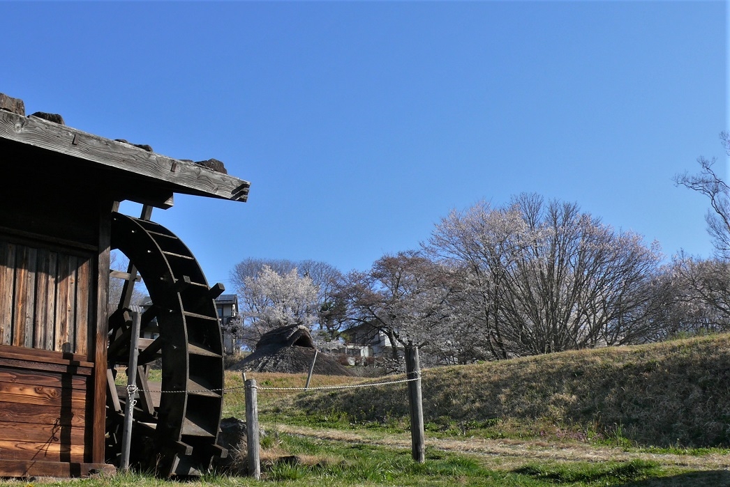 http://www.alpico.co.jp/shikinomori/news/images/P1300807.JPG