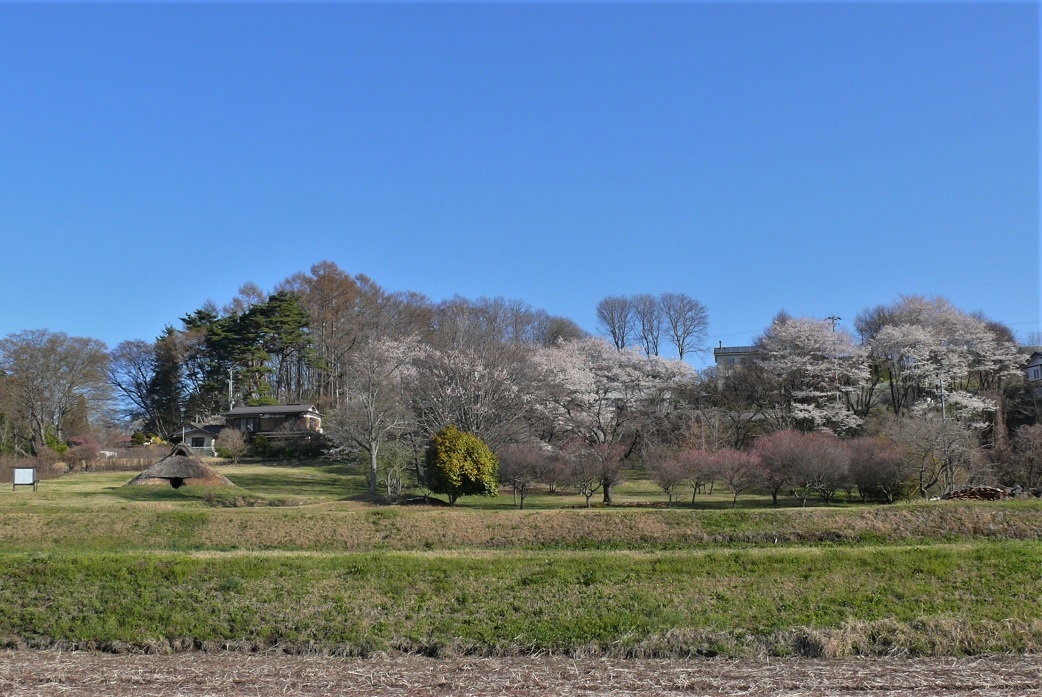 http://www.alpico.co.jp/shikinomori/news/images/P1300808.JPG