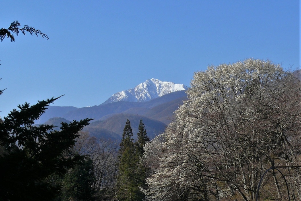 http://www.alpico.co.jp/shikinomori/news/images/P1300810.JPG