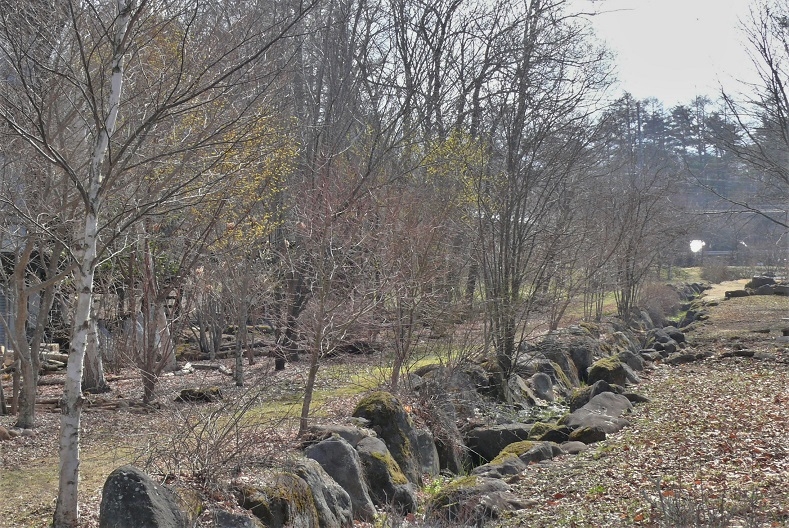 http://www.alpico.co.jp/shikinomori/news/images/P1300875.JPG