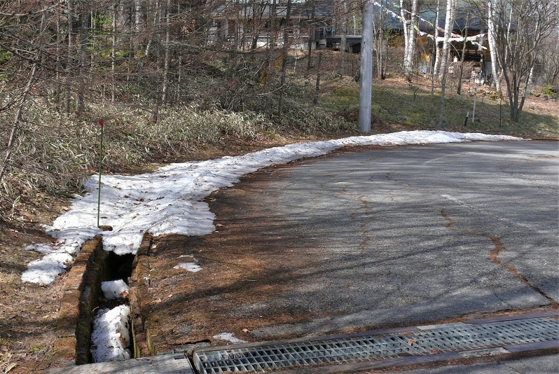 http://www.alpico.co.jp/shikinomori/news/images/P1300911.JPG