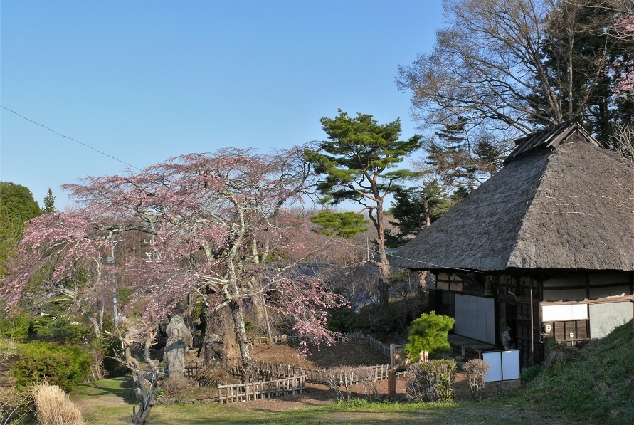 http://www.alpico.co.jp/shikinomori/news/images/P1300922.JPG