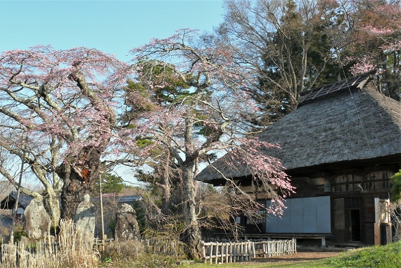 http://www.alpico.co.jp/shikinomori/news/images/P1300924.JPG