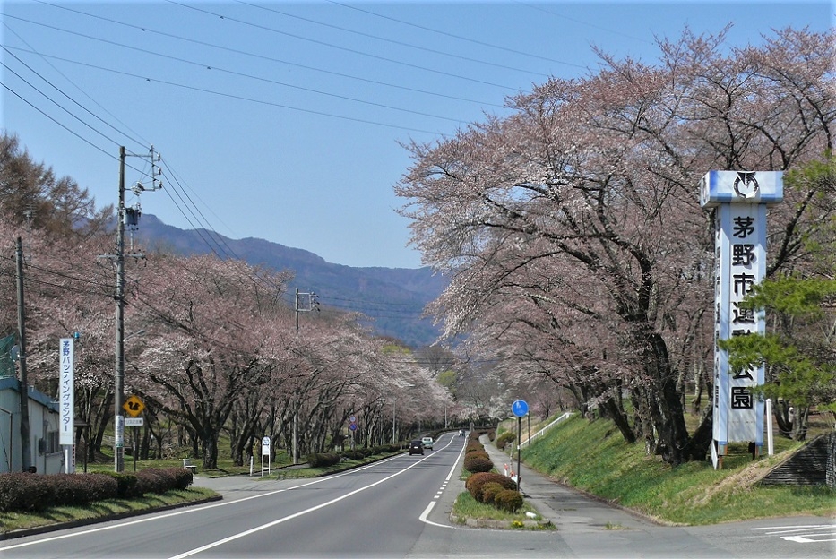 http://www.alpico.co.jp/shikinomori/news/images/P1300946.JPG