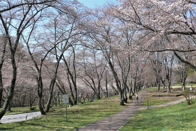 http://www.alpico.co.jp/shikinomori/news/images/P1300947.JPG