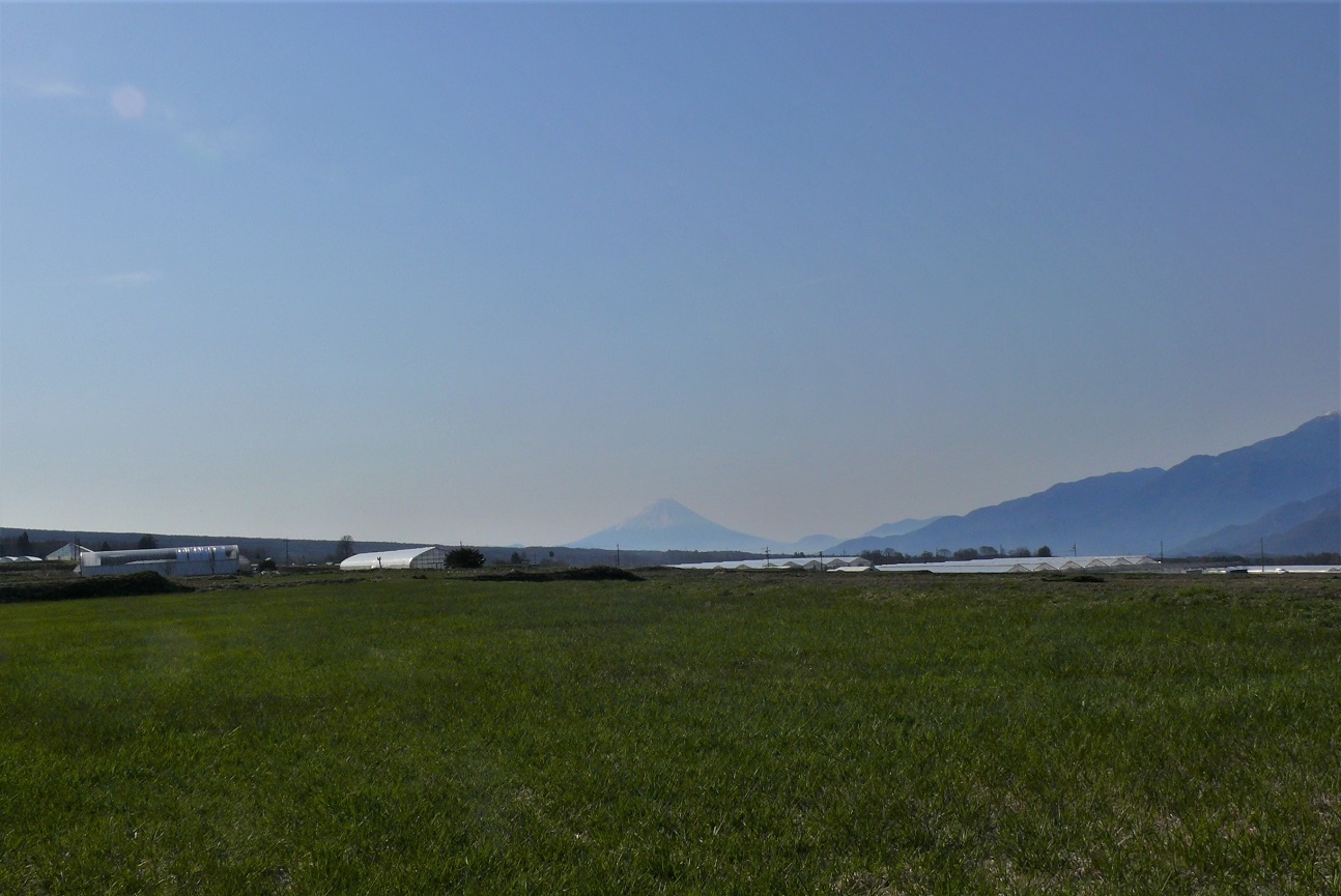 http://www.alpico.co.jp/shikinomori/news/images/P1300961.JPG